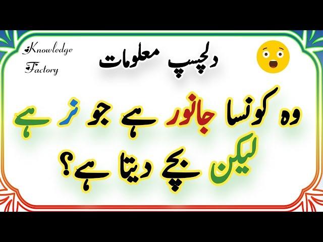 Paheliyan in Urdu | General Knowledge Questions and Answers | Episode # 10 | Knowledge Factory