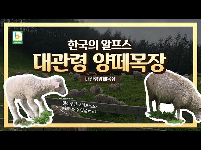 [강원6차산업]_농업회사법인 대관령양떼목장 주식회사