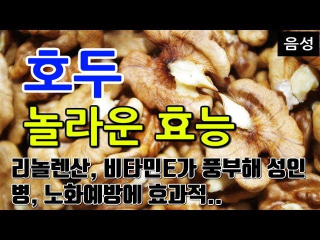 [#호두효과] 호두의 놀라운 효능 10가지 (리놀렌산, 비타민E가 풍부해 성인병, 노화예방에 효과적..)