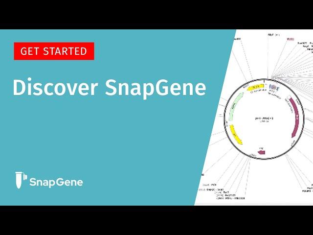 Discover SnapGene