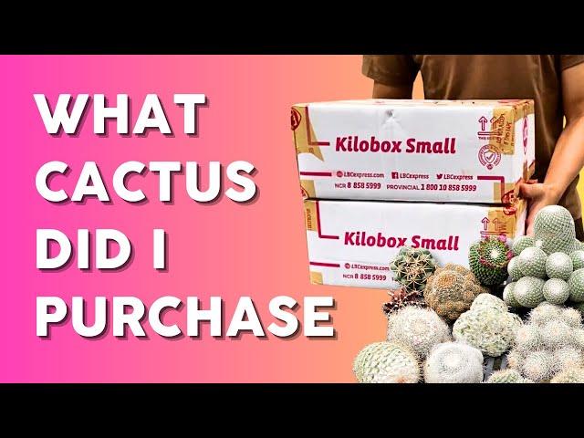 I bought CACTI to RESTART my Collection | Unboxing 19 Beautiful Cactus 