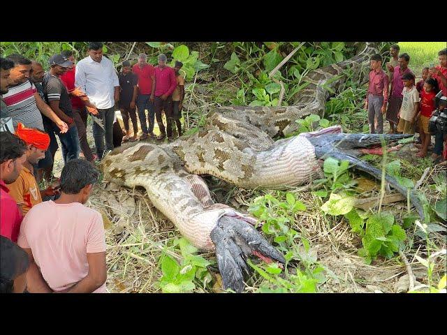 Scary Jungle Discoveries That Can't Be Explained