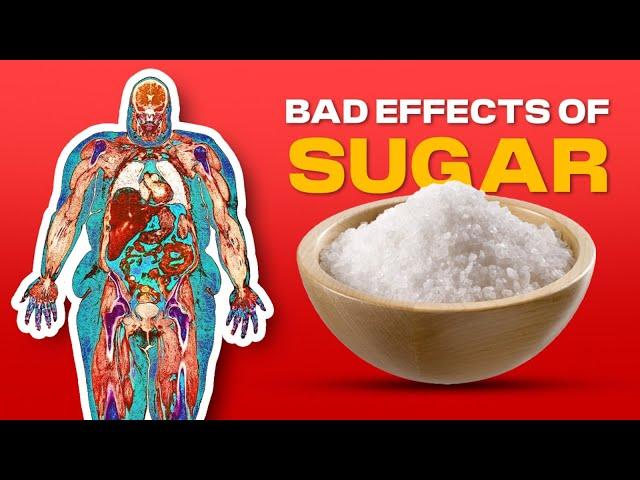 How Sugar is as Addicted as Alcohol