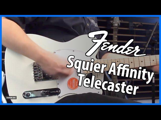 Fender Affinity Squier Telecaster Demo and Review - Paul Effman Music Store