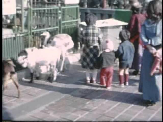 渋谷 東急百貨店 東横店 屋上 動物園 1975年頃