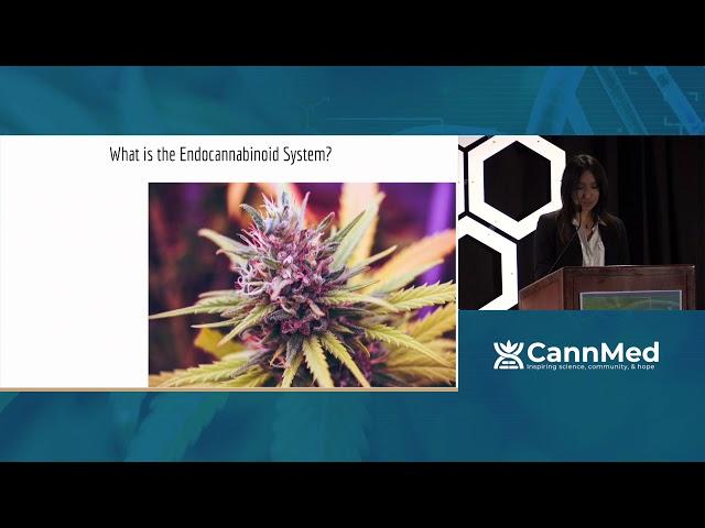 Medical Panel: Prioritizing Cannabis Education & Its Implementation into Medical Schools