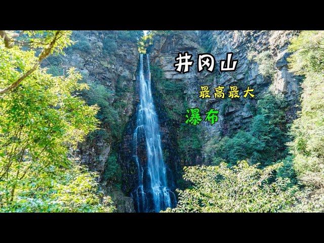 井冈山大山峡谷，藏着一条井冈山最高的瀑布【到远方旅行】.mp4