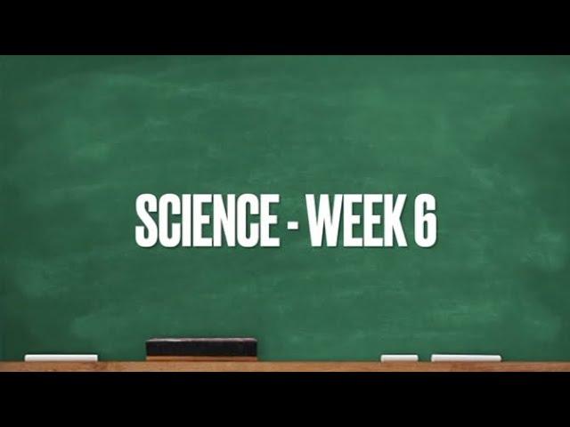 CC Cycle 1 Week 6 Science