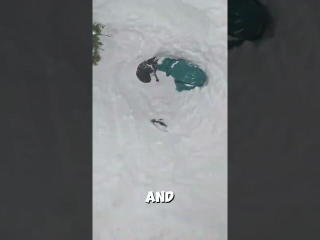 he save his life .      @Thenarf7007 #emotional #skiing #savelife