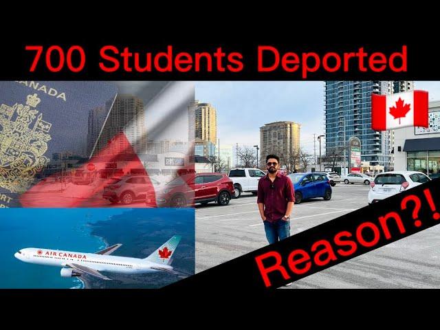 700 International students deported from Canada!! |  | IRCC | CBSA | Fake Certificate | Reason |