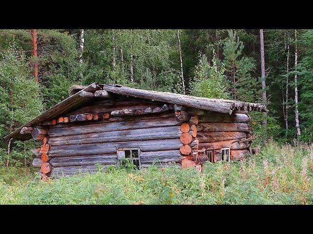 Одиночный поход по северной реке ч3. Лесная изба 1870 года затерянная в глухой тайге. Рыбалка, окунь