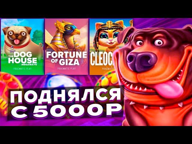ПОДНЯЛСЯ С 5000Р! В СЛОТАХ! The Dog House Megaways / Cleocatra / Fortune of Giza