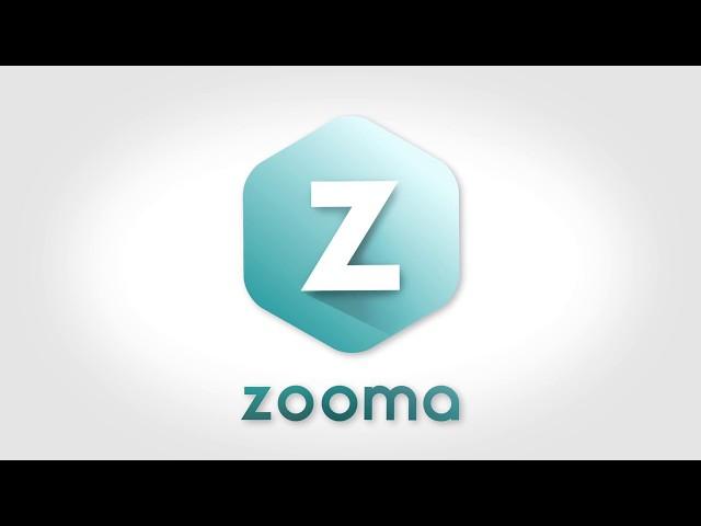 intro для компании Zooma