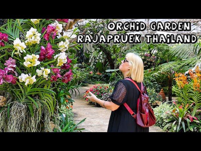 Orchid Garden Rajapruek Thailand