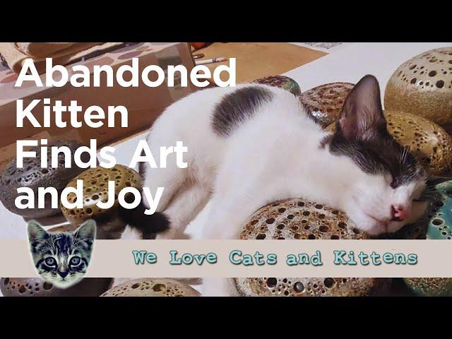 The Abandoned Kitten Who Became an Artist Thanks to a Dog's Discovery