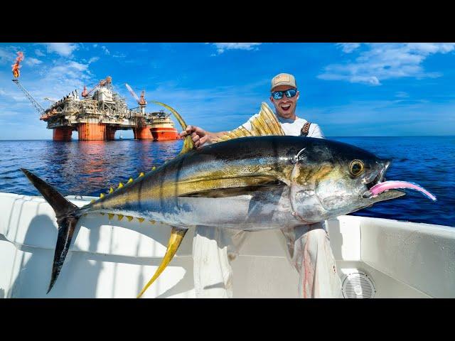 Monster Yellowfin Tuna Under Massive Oil Rig! Catch Clean & Cook (NLBN Lure Tuna Fishing)