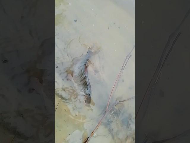 Рыбалка зимой по открытой воде, winter fishing on the river
