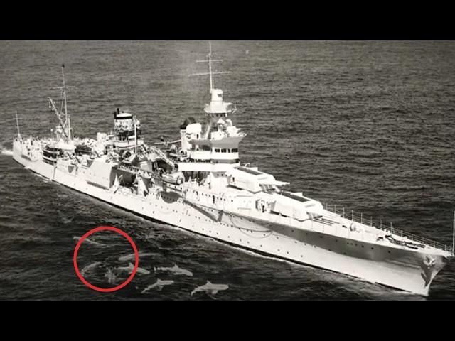 What REALLY Sank the U.S.S. INDIANAPOLIS in 1945? Tragedy at Sea!