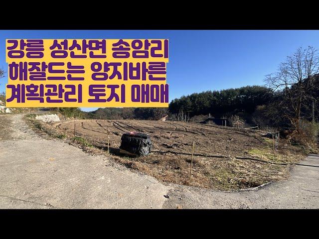 [강릉 성산면 송암리 토지매매] 도로접한 계획관리지역 해잘드는 양지바른 나대지 와 전 한필지