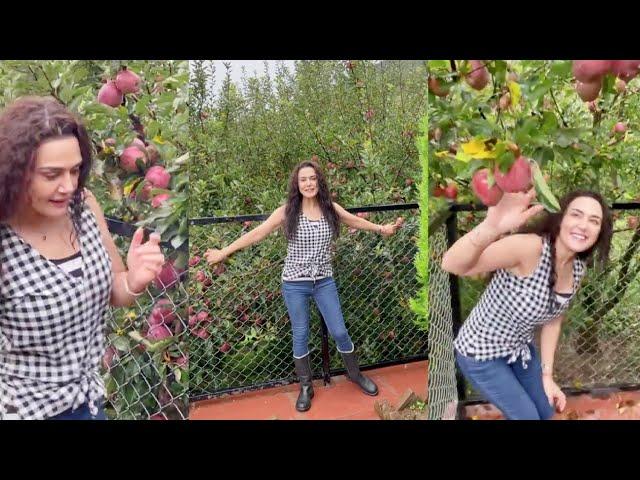 Preity G Zinta Apple Farms Tour In Shimla #Ting #Appleorchards #farmlife #familytime #proudhimachali