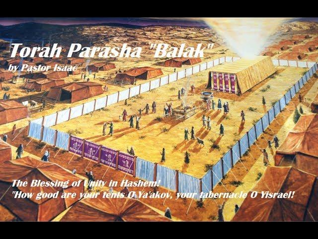 #40 - Torah Parashah Balak