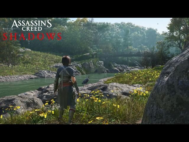 Brand New Assassin's Creed Shadows Exploration Gameplay...