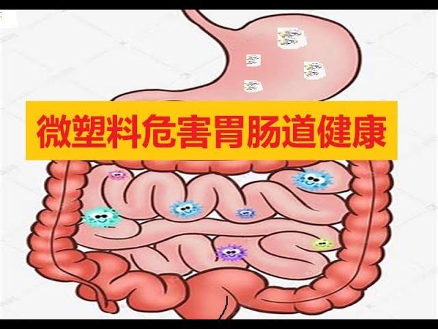 微塑料会危害您的胃肠道健康 您需要了解隐藏的健康风险