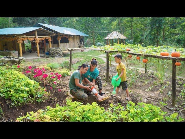 growing vegetables, taking care of husband with sore leg, daily life on the farm, SURVIVAL ALONE