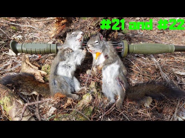 2 Blowgun Squirrel Kills! (#21 and #22)