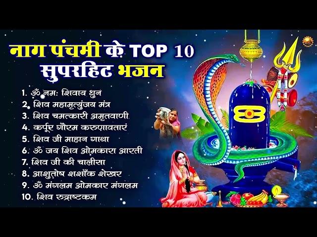 नाग पंचमी स्पेशल भजन | 2024 Nag Panchmi Bhajan | नाग पंचमी गीत | Nonstop Nag Panchmi Bhajan