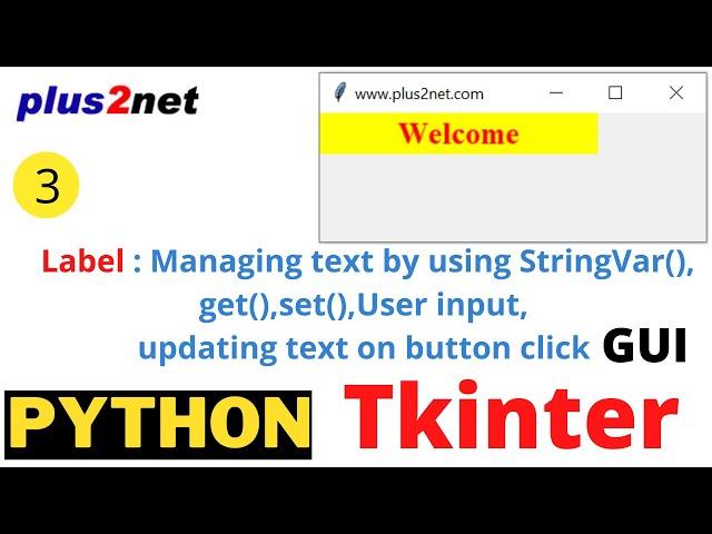 Tkinter Label managing text by  StringVar to update using user input by using get() & set() methods