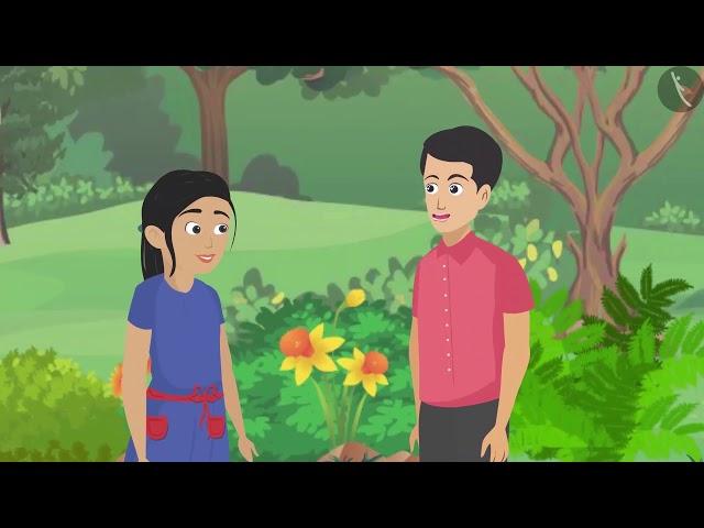 Getting To Know Plants | Part 1/2 | English | Class 6