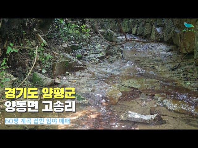 [경기도 양평군 양동면 고송리60평 계획관리 임야 매매 - 중고트랙터 중고농기계 경운기 관리기 스키로더 굴삭기 화물트럭 매매 직거래 장터 사이트