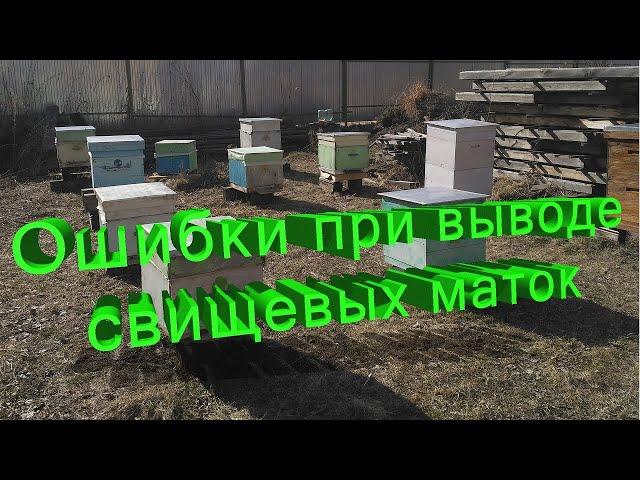 Профессор Кашковский: Классические ошибки при выводе свищевых маток