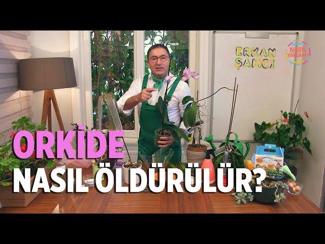 NASIL YAPSAM? | ERKAN ŞAMCI | ORKİDE NASIL ÖLDÜRÜLÜR?