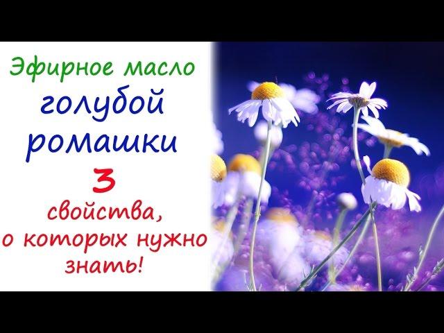 Масло ромашки аптечной (голубой): 3 важнейших свойства