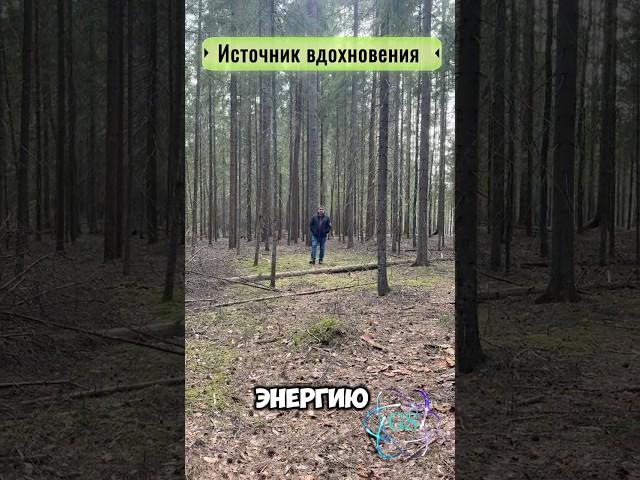 Источник вдохновения #здоровье #nature #исцеление #энергия #силасознания #любовь #душа