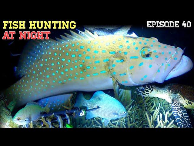 NIGHT SPEARFISHING EPISODE 40 | FISH HUNTING AT NIGHT