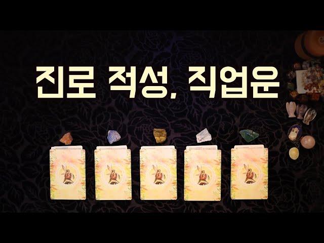 [타로] 진로, 적성 | 직업운 (한번쯤 꼭 보세요!)