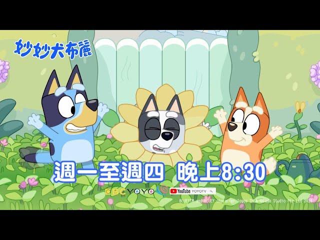 百變的 #妙妙犬布麗 #bluey ｜週一至週四 晚上8:30｜YOYOTV