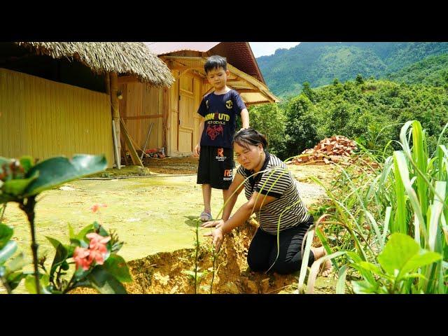 New house floor plan Washed away by water - picking fruit to sell at market.