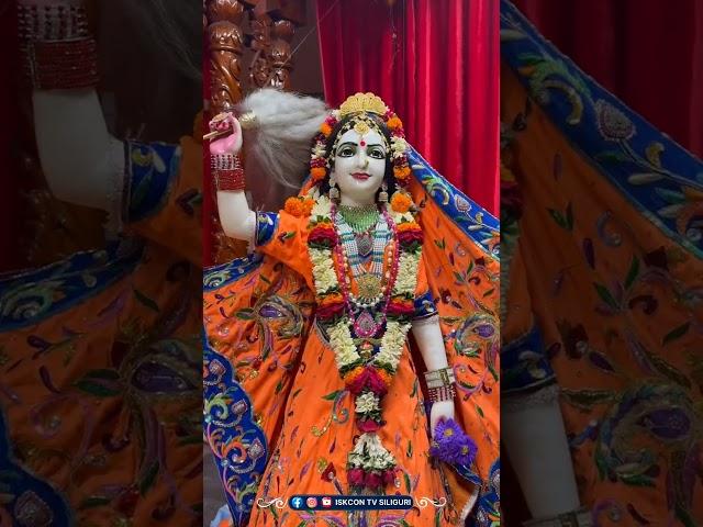  Today's Darshan of Sri Sri Radha Madhav Sundar 🪷 | 1st April 2025 | ISKCON Siliguri