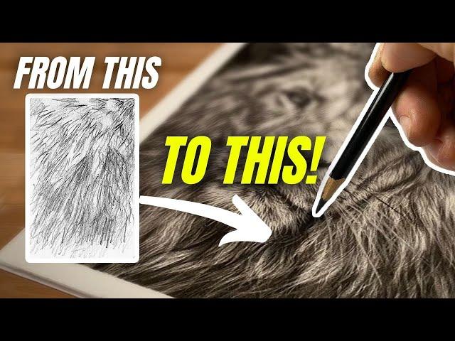 How to Draw Realistic Fur Like a Pro