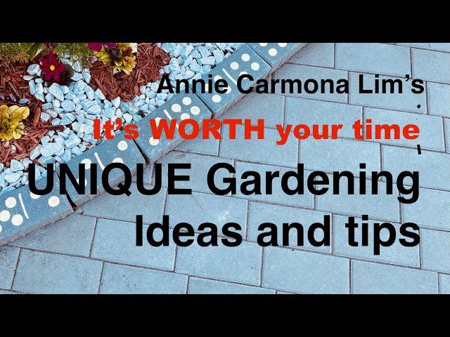 MY UNIQUE GARDENING DESIGNS AND TIPS. MUST WATCH this 14 minute happy video.