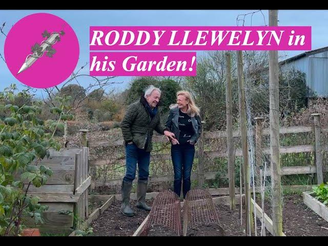 RODDY LLEWELYN in his Garden!