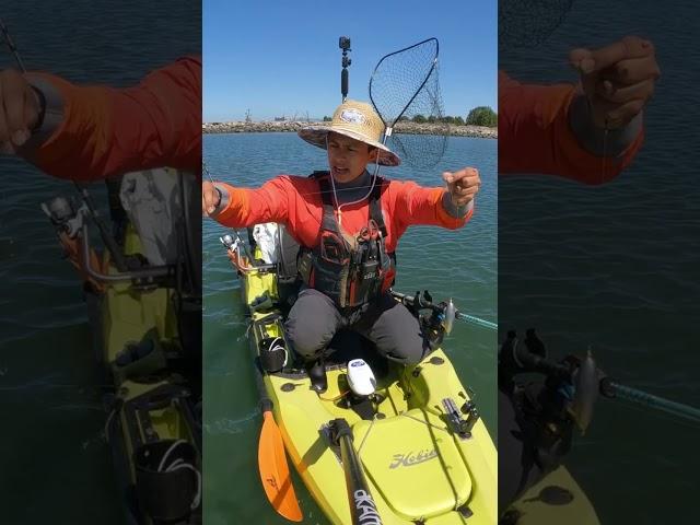 How to Kayak Fish for Halibut in California