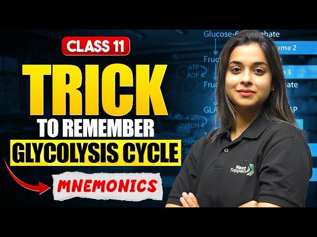 Glycolysis Cycle Trick | Glycolysis Mnemonics Class 11 Biology | CBSE 2025