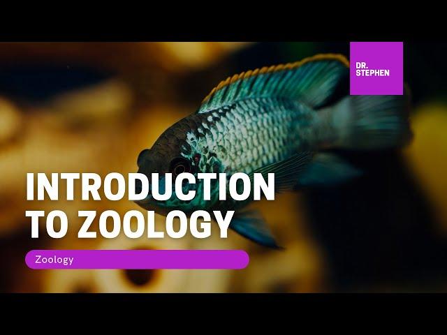 Zoology  I Introduction to Zoology