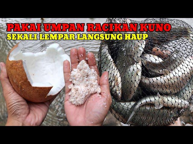 RESEP KUNO‼️ASLI BIKIN IKAN GAK MAU BERHENTI MAKAN