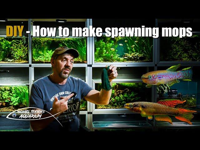 DIY - How to make a spawning mop for fish breeding